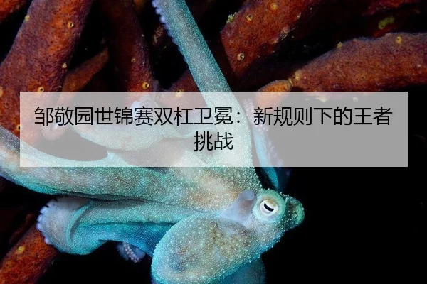邹敬园世锦赛双杠卫冕:新规则下的王者挑战