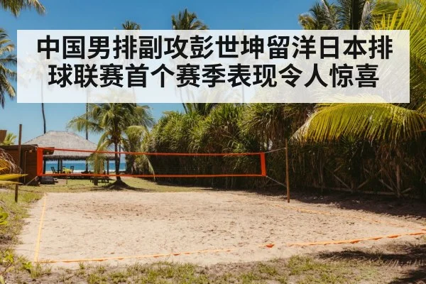 volleyball court